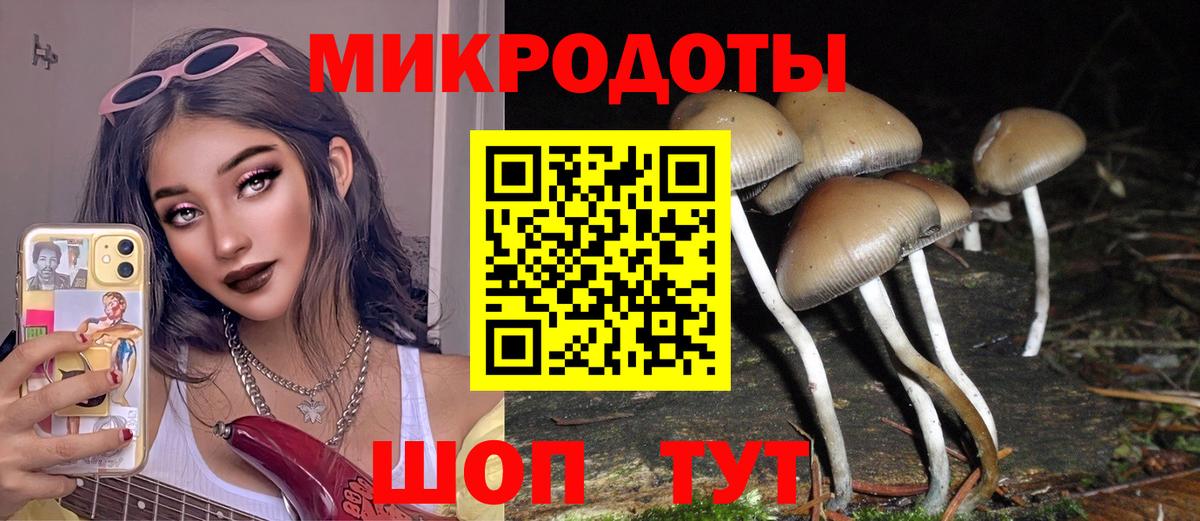купить  сайты  Псилоцибиновые грибы Psilocybe  Вход с VPN  Междуреченск  Галлюциногенные грибы мухоморы 