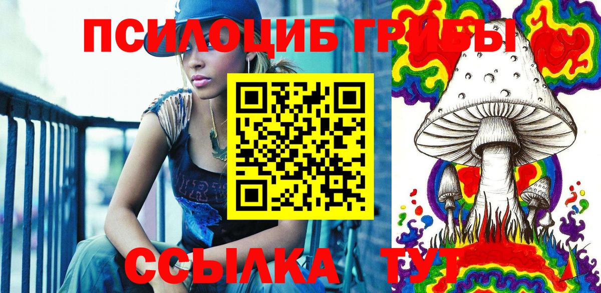 Псилоцибиновые грибы Cubensis Междуреченск